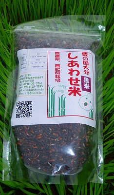 �����碌�Ƥι��ơʸ����ơ�500��