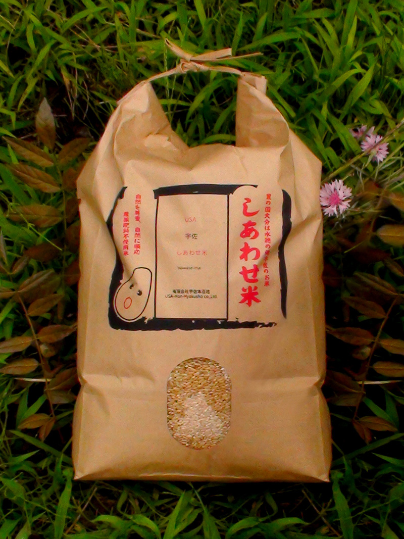 �����碌�ơڸ��ơ� 1ǯ�� 30kg