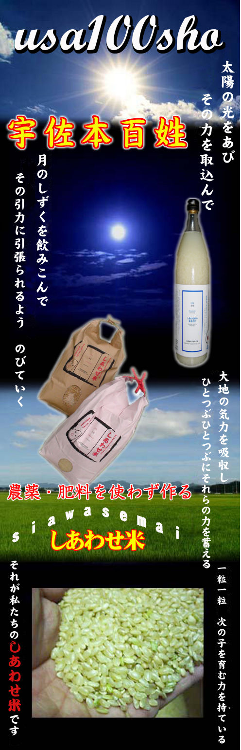 �����Ի��ѡ�̵�����ƤҤΤҤ���Τ����碌�� ������ɴ��