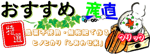 �����Ի��ѡ�̵����Ǻ�뼫�������ơ������碌��