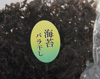 大分海苔　（のり・ノリ）バラ干し