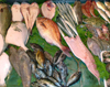 地魚トロ箱市（約３ｋｇ）
