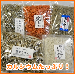 健康家族セット