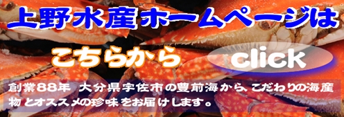 �ۡ���ڡ���