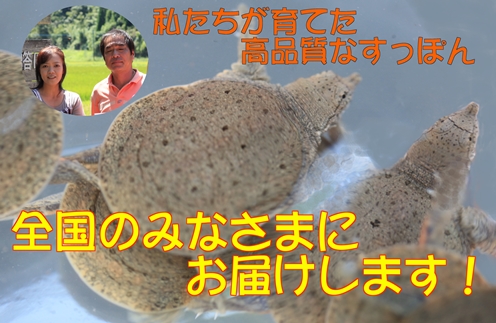 ���äݤ��֤����