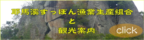 観光