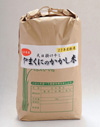 天日掛け干し　やまくにのかかし米　【５ｋｇ】