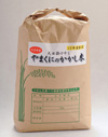 天日掛け干し やまくにのかかし米　【10ｋｇ】